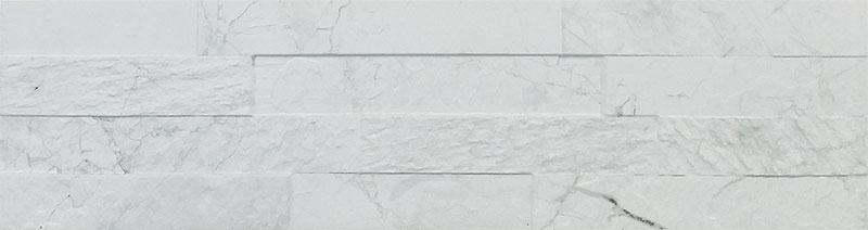 A105306