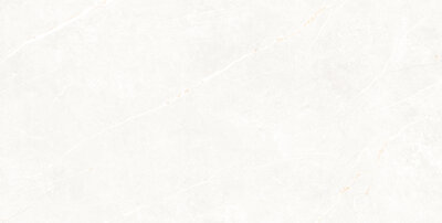 LID12WHIP_1